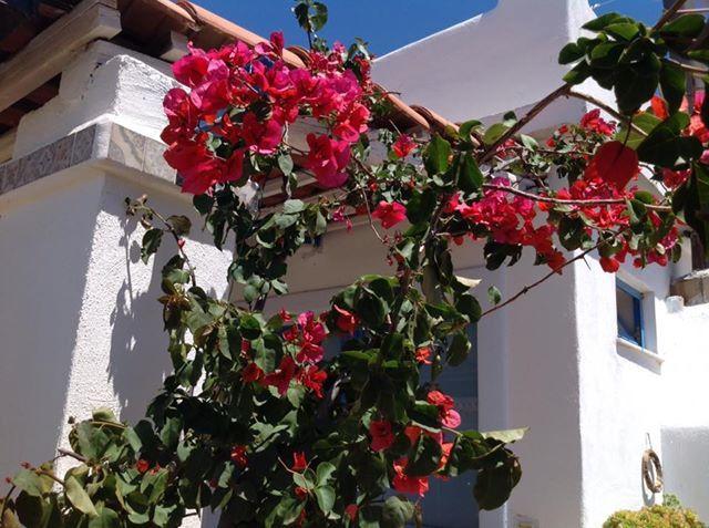 Guest house Villaggio Imbesi